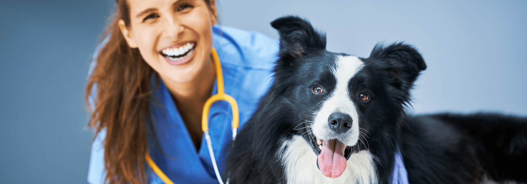 rabies vaccine manchester