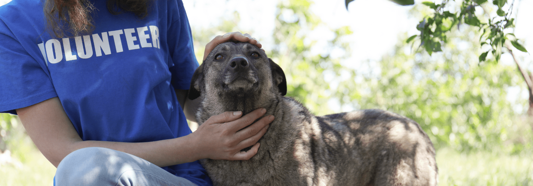 rabies vaccine manchester