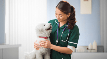 rabies vaccine manchester